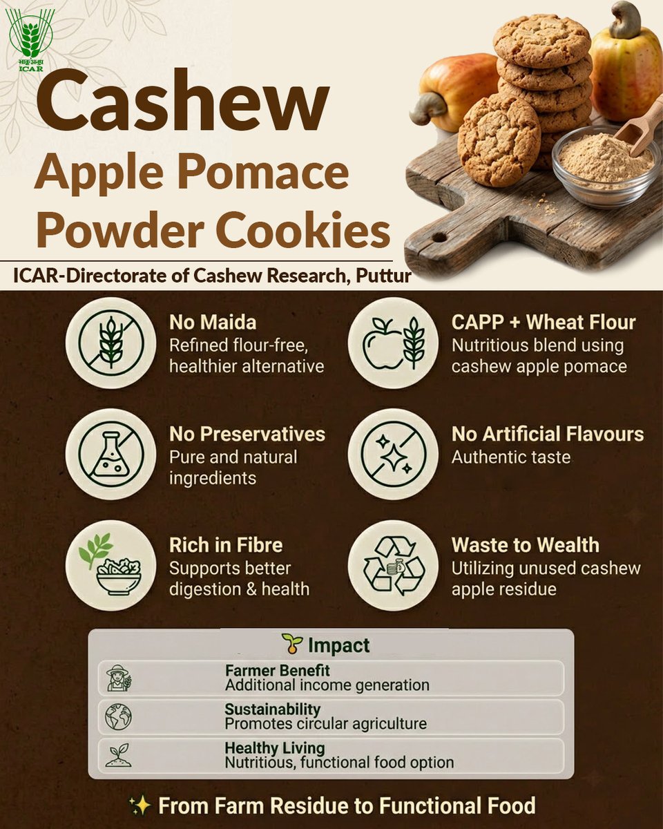icarindia's tweet image. Turning waste into wellness 

ICAR’s cashew apple pomace cookies are fibre-rich, preservative-free &amp;amp; made without maida—boosting farmer income and sustainability.
#ICAR #technology
@ChouhanShivraj @PIB_India @agrigoi