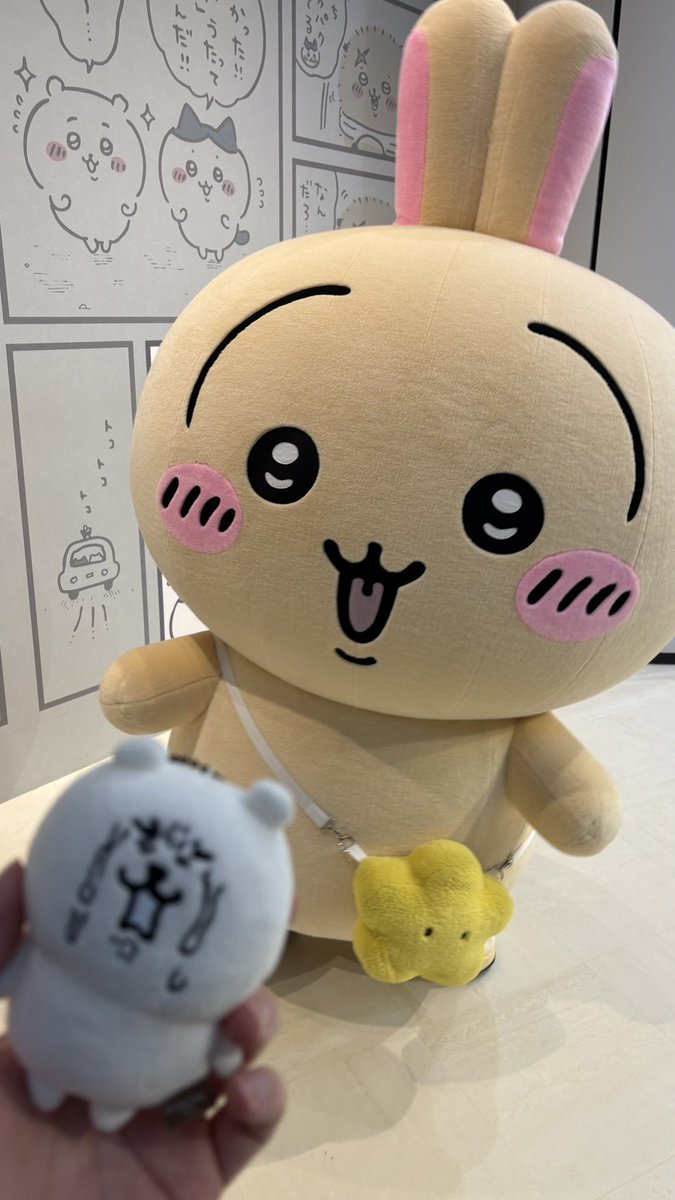 にゃっ太 tweet media