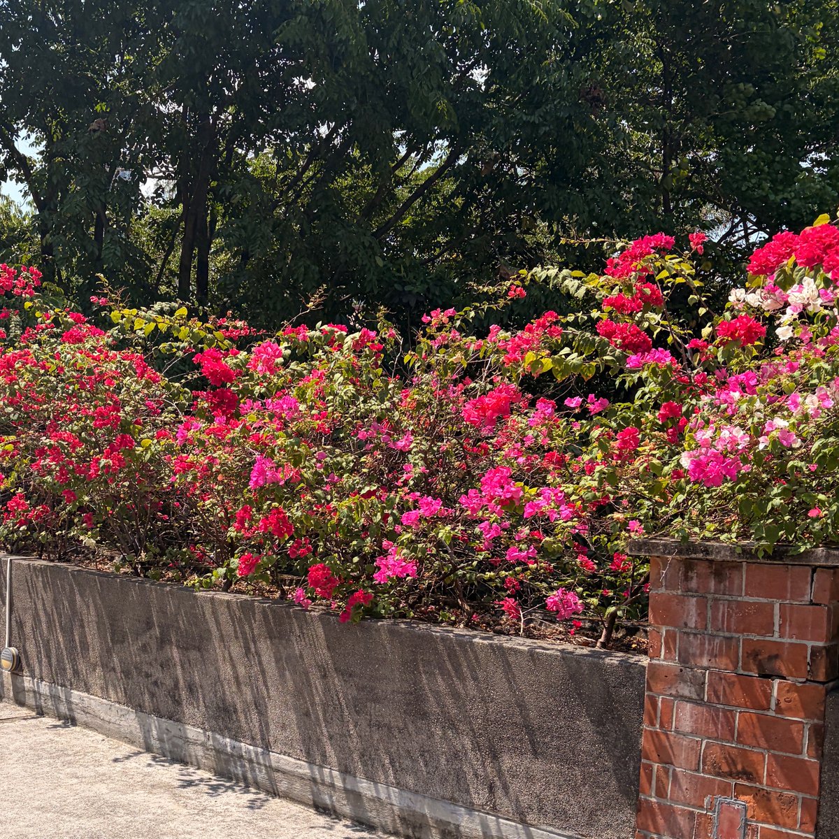 Rian 🚁🚒🏐 | Fan Account tweet media