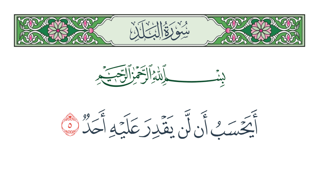 Amr A. Adib tweet media