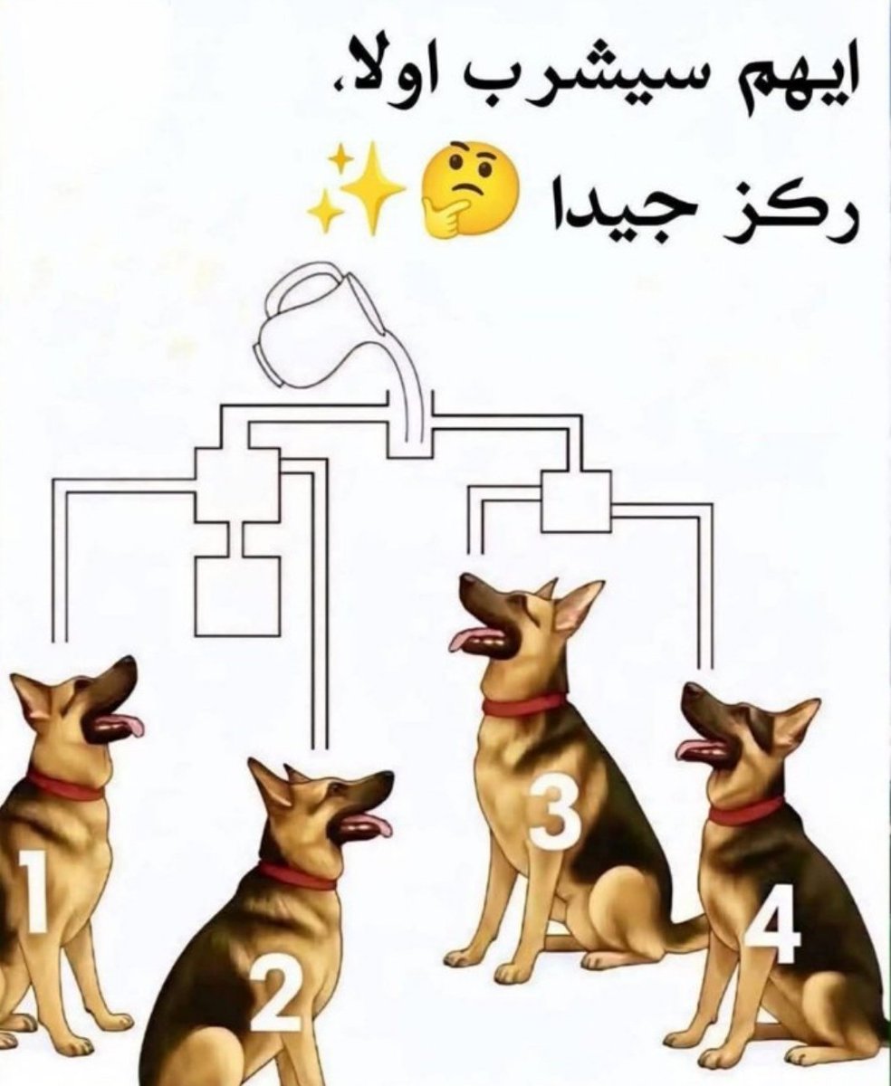 𝑀𝑎𝑦𝑎 tweet media