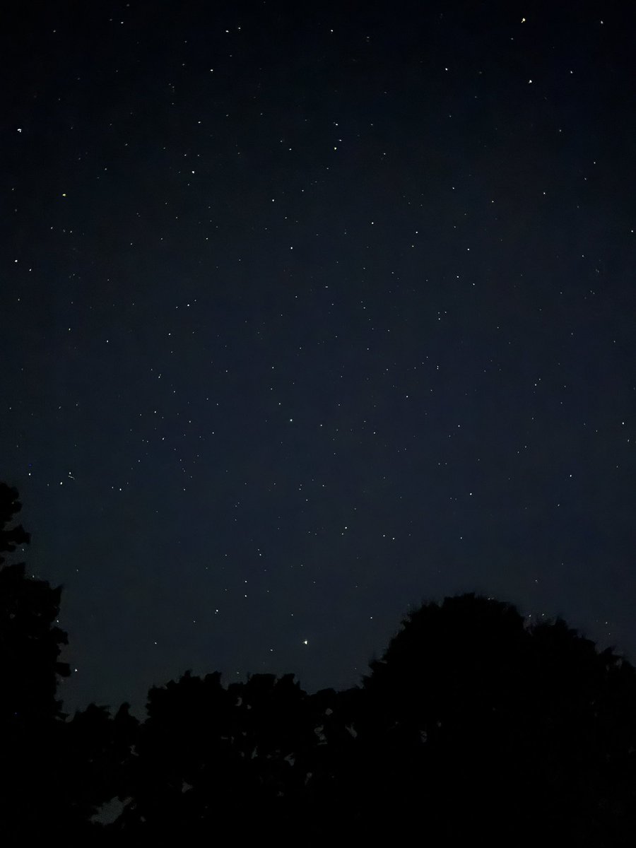 Flybyynight tweet media