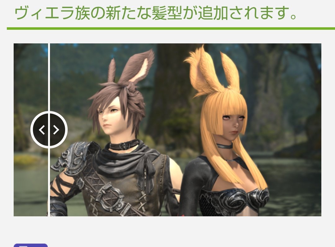 Lepus🐇Gaia Ridill tweet media