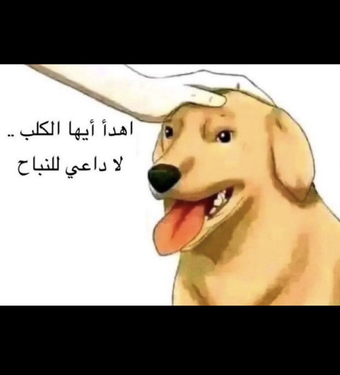 نجــم CR7𓃵 tweet media