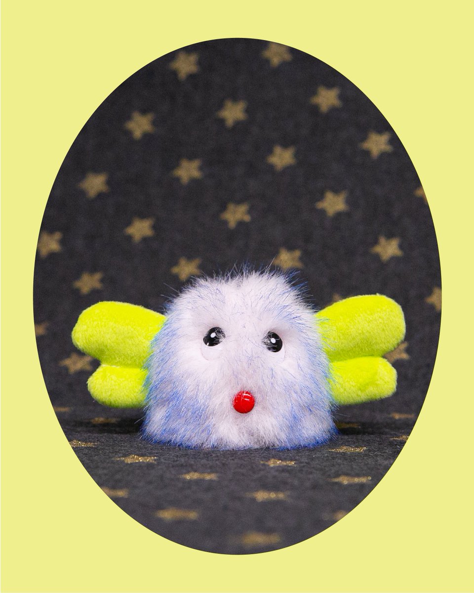 띠로리 TIRORI tweet media