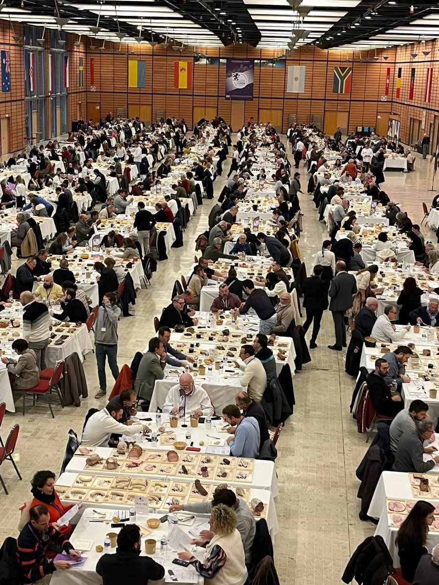 Новая Польша tweet media