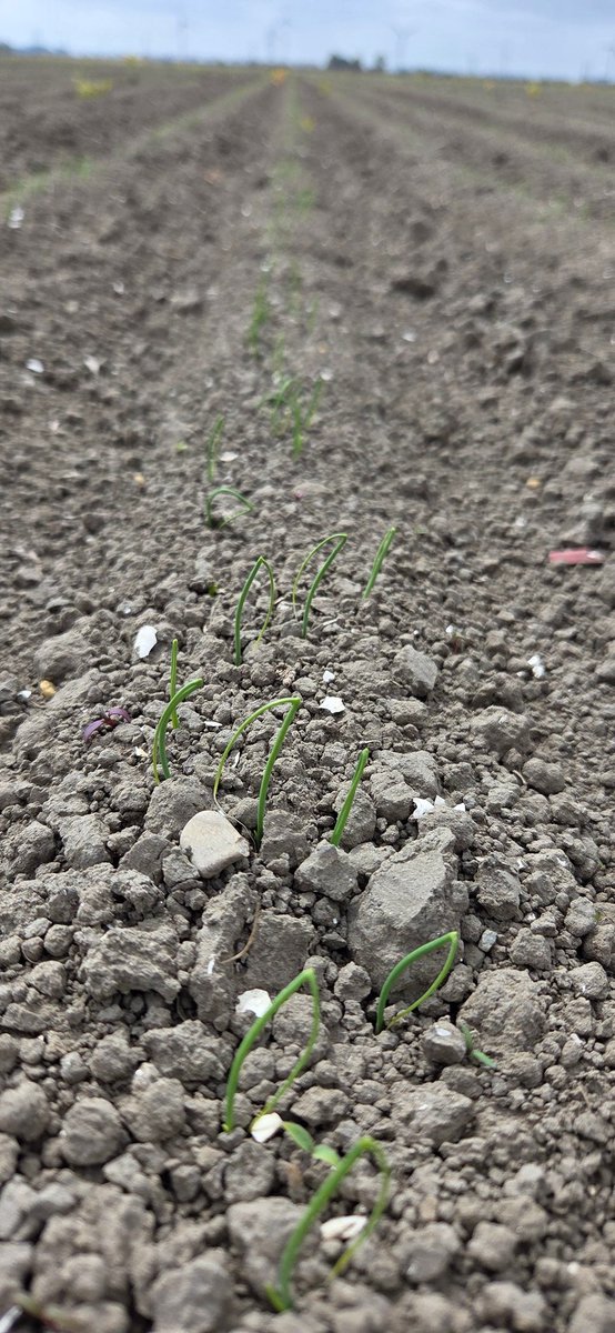 Marijn van Dongen🚜🍀 tweet media