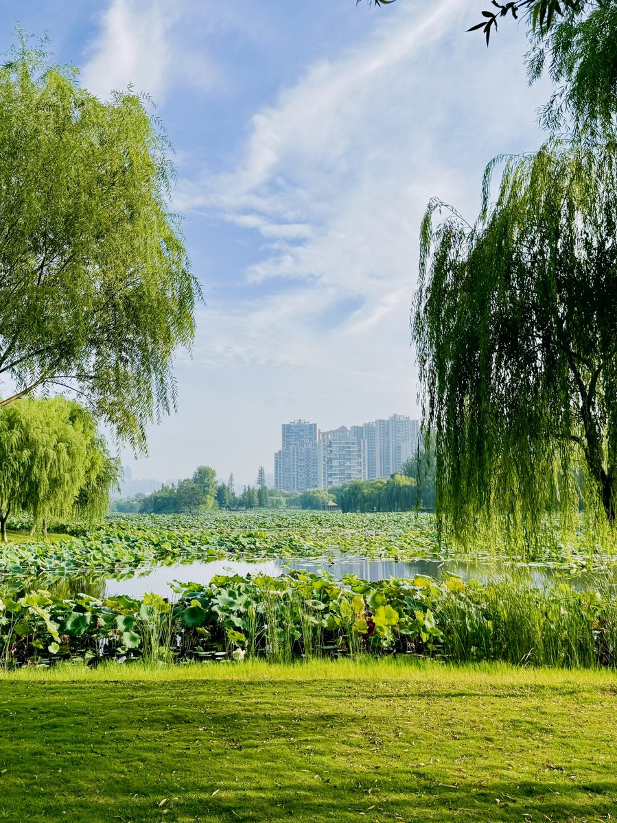 Silverio Villalva tweet media