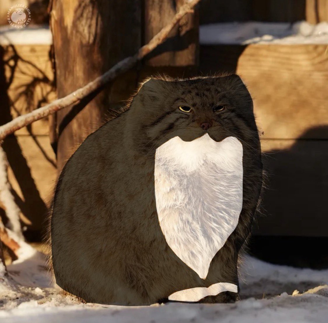 Sneplover45 tweet media