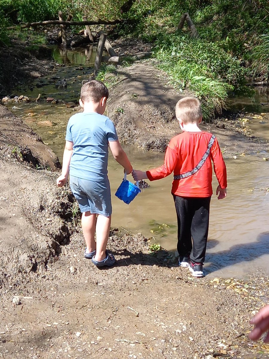 ACE Forest School tweet media