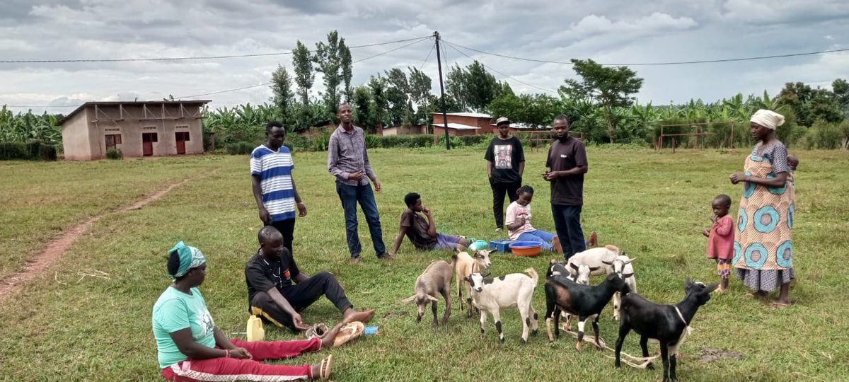 KWIGIRA 3600 FOUNDATION (K3600F) tweet media