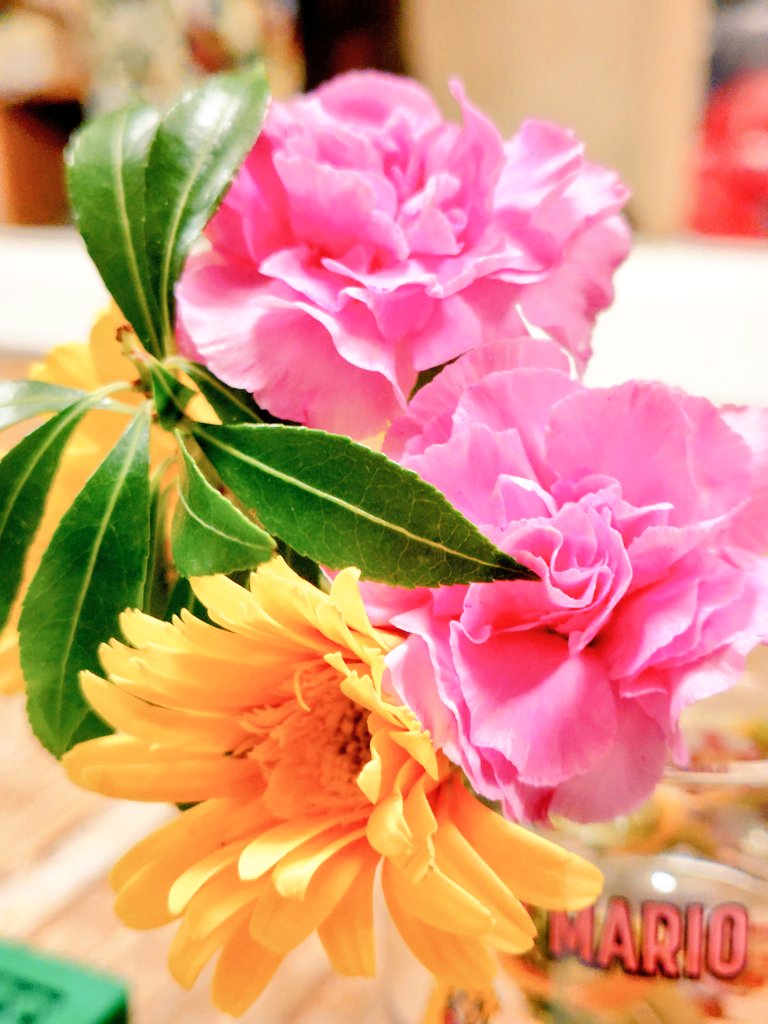 onabemock's tweet image. 30周年🥂パーティー気分で
週末も営業しております😎✨

本日✨️19時〜last✨️
お待ちしております🐎🐎
#FTM #モック 
#30周年 #パーティー 
#お花