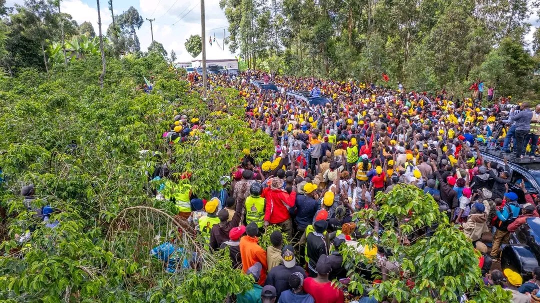 TERRY™🌹 tweet media