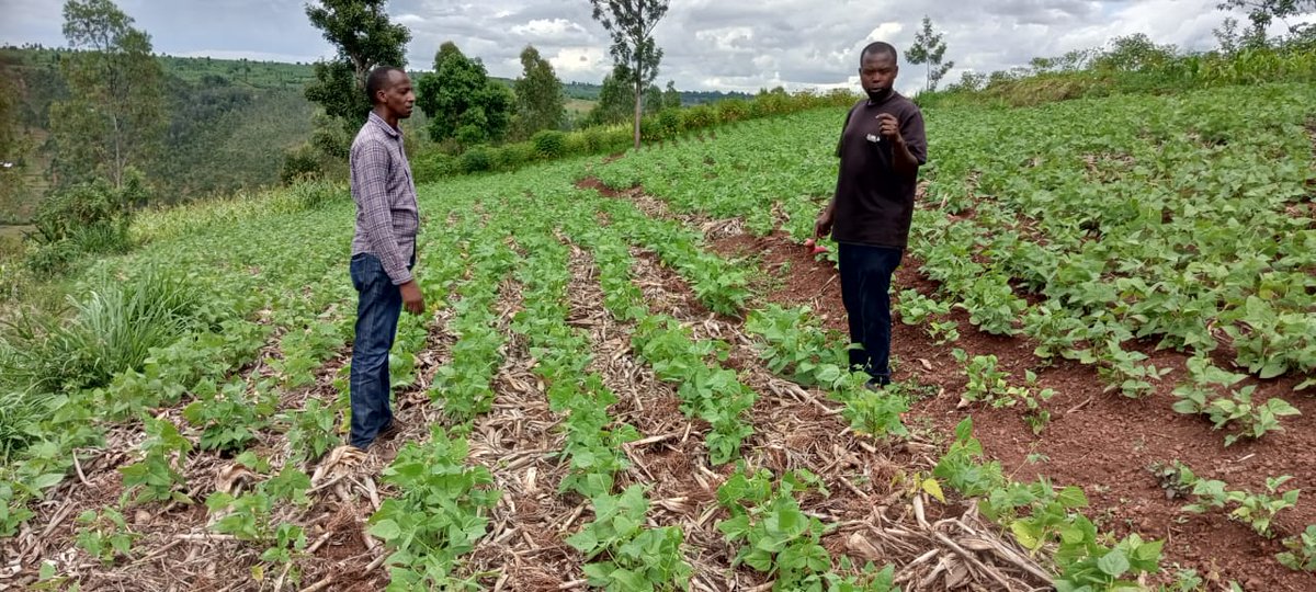 KWIGIRA 3600 FOUNDATION (K3600F) tweet media