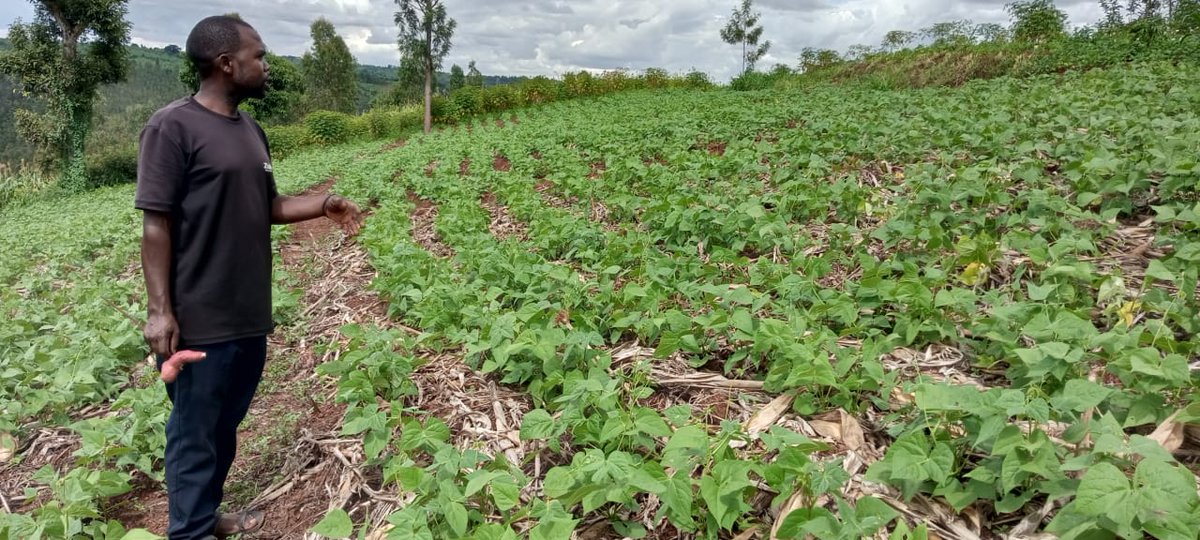 KWIGIRA 3600 FOUNDATION (K3600F) tweet media