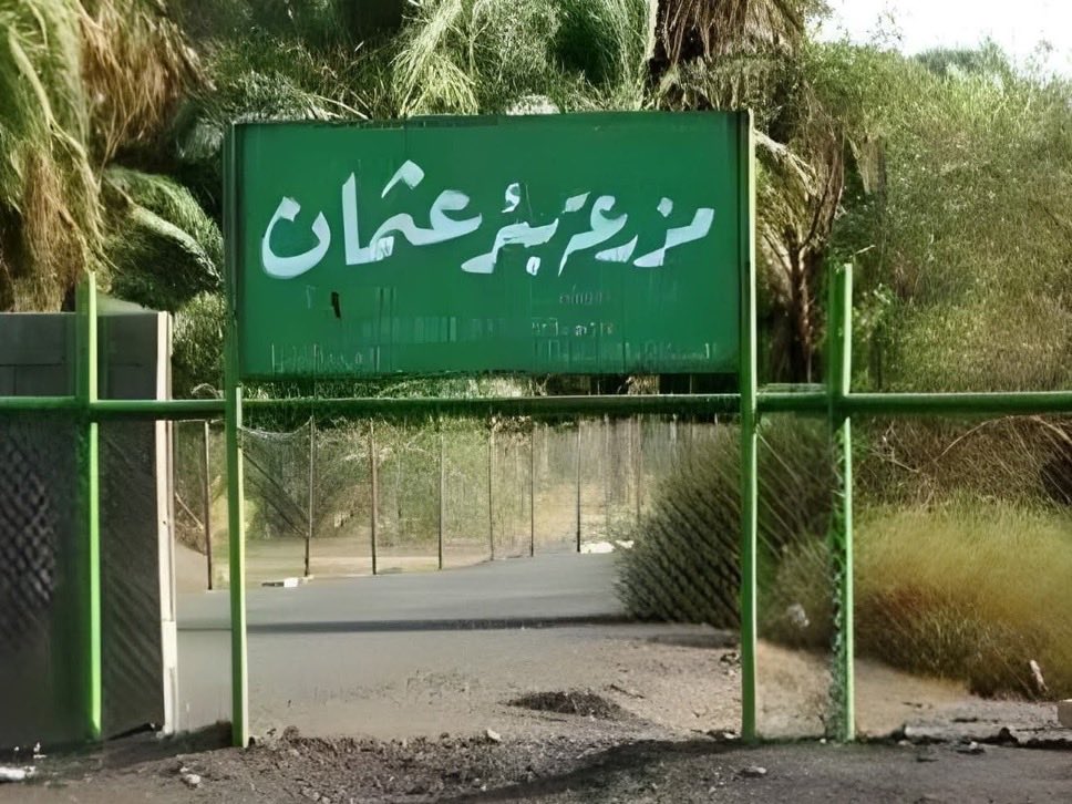الدافور | محمد tweet media