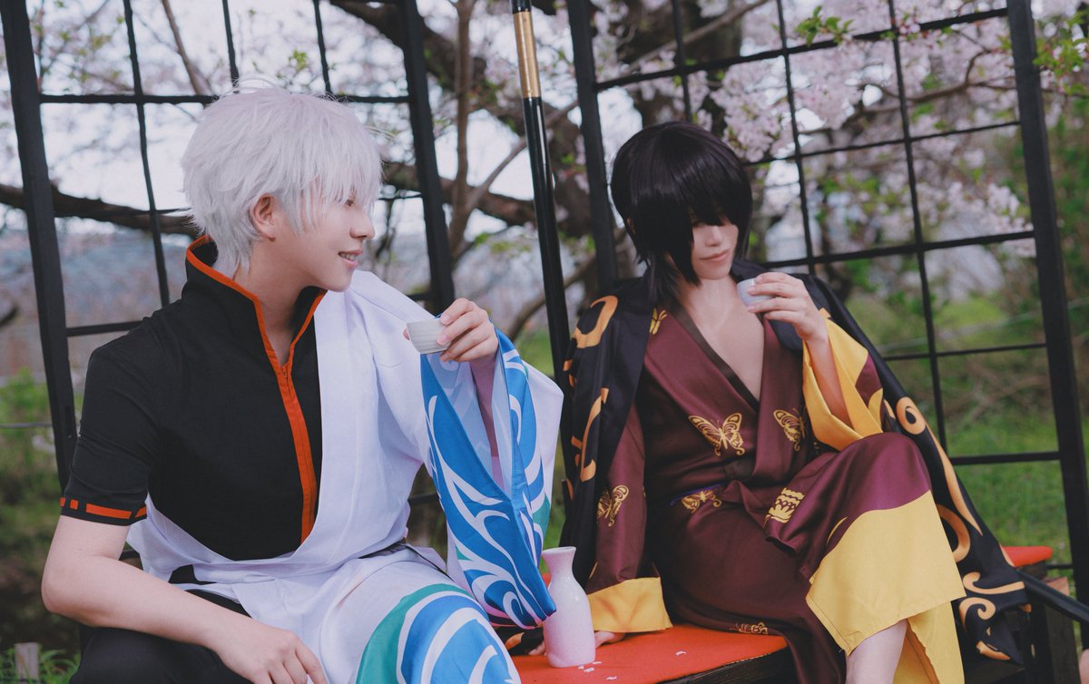 まっぽ将軍 tweet media