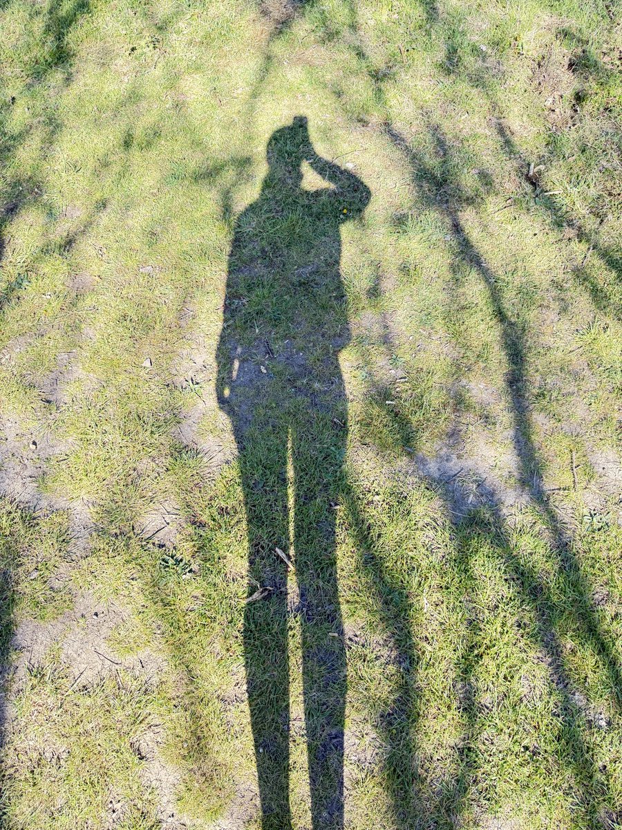 Ronnie432023's tweet image. Perfect start of the day #clear #mind #fresh #air #Friday and legs for days 🤣 ☀️