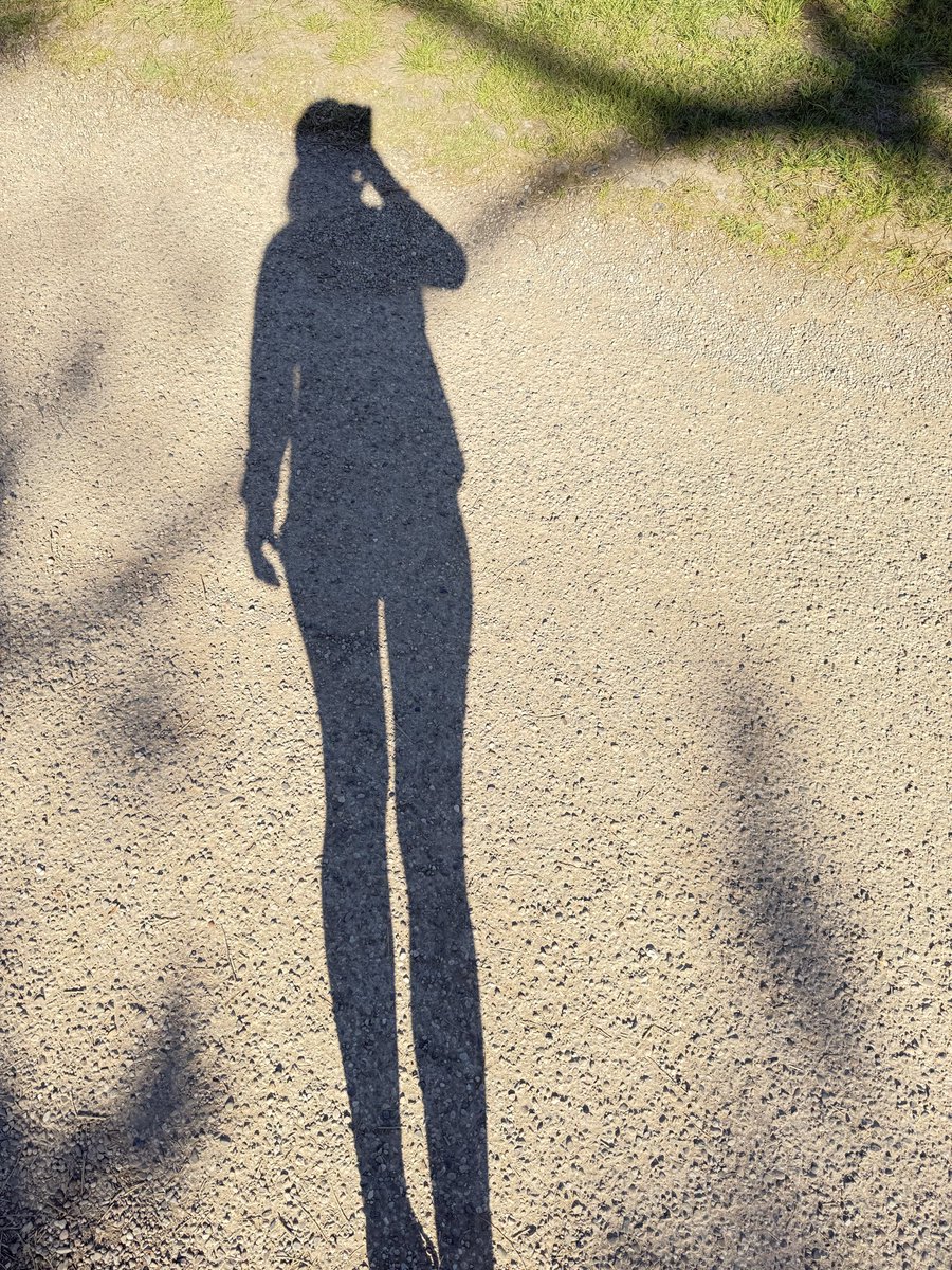 Ronnie432023's tweet image. Perfect start of the day #clear #mind #fresh #air #Friday and legs for days 🤣 ☀️