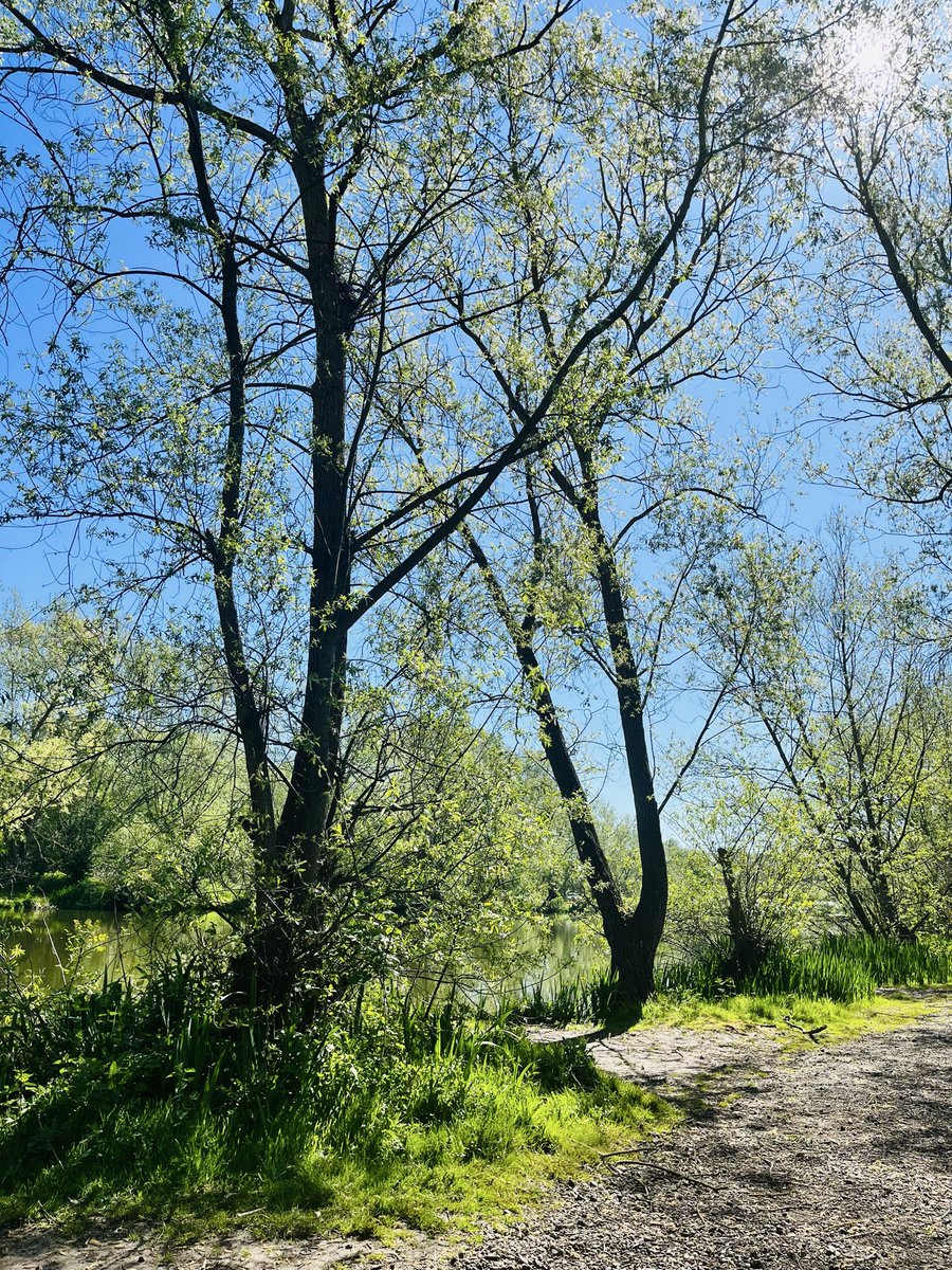 Elizabetht0000's tweet image. Let’s go for a walk…

#DailyPicture #nature #NatureLovers #PureNature
#London #England #UK 

Thank  you 🫶 for sharing , liking 📸❤️ and following 🫶💞