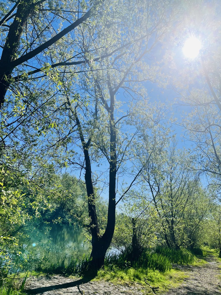 Elizabetht0000's tweet image. Let’s go for a walk…

#DailyPicture #nature #NatureLovers #PureNature
#London #England #UK 

Thank  you 🫶 for sharing , liking 📸❤️ and following 🫶💞