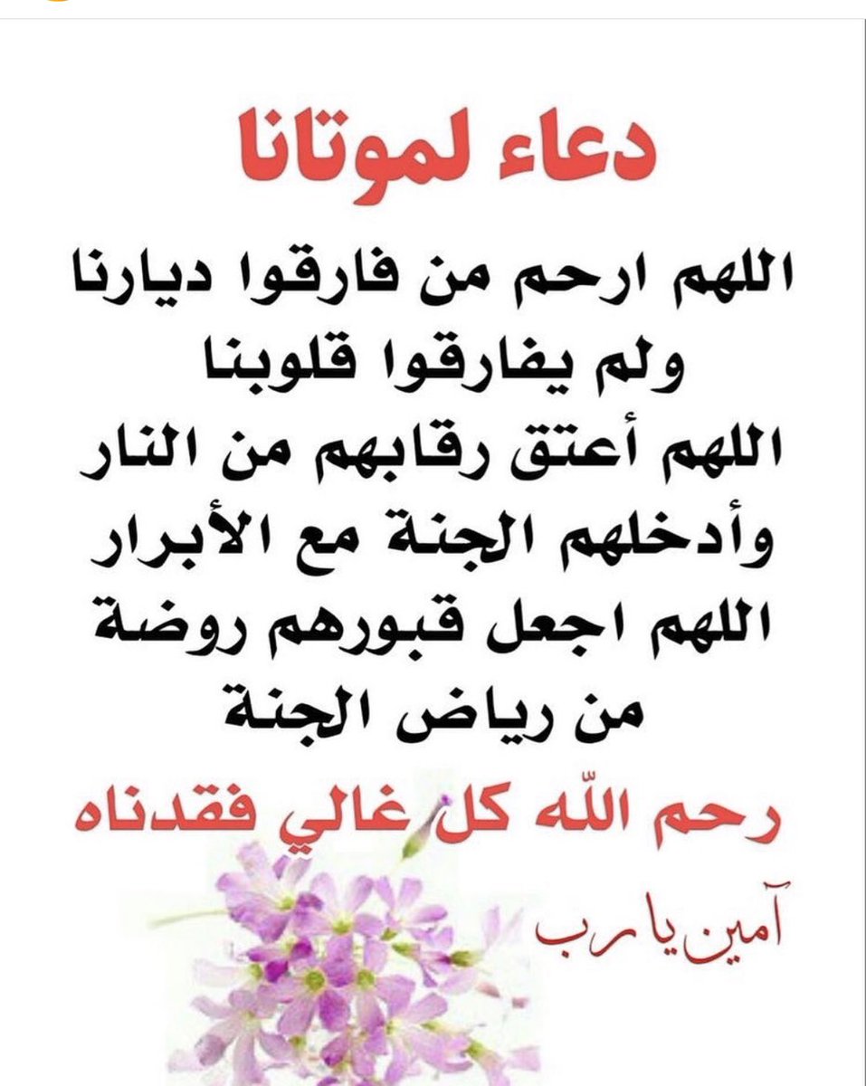 جنوبي حر اليافعي 3 tweet media