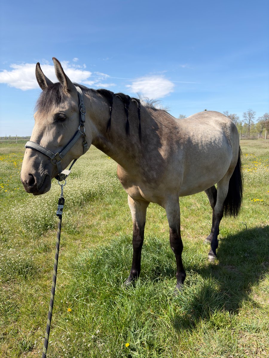 margo ୨ৎ tweet media