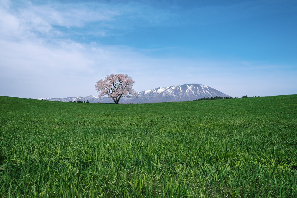 道民の人@『日本遠国紀行』(笠間書院) 12/1重版決定 tweet media