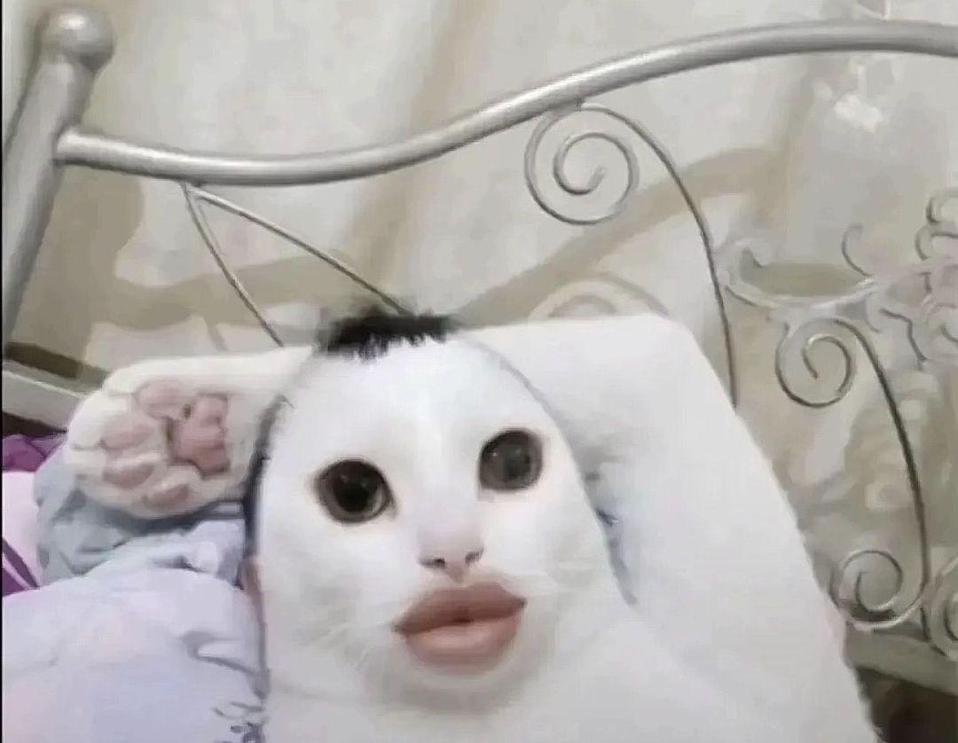 imanuhinyuhbuh's tweet image. okay guys im out of hospital i was able to get a scan next week which is 11 weeks earlier than usual #lucky.. if its what they think it is they might have to do surgery thats only really ever done on adults #wtf but um im okay for now guys just stressed and tired so dont worry
