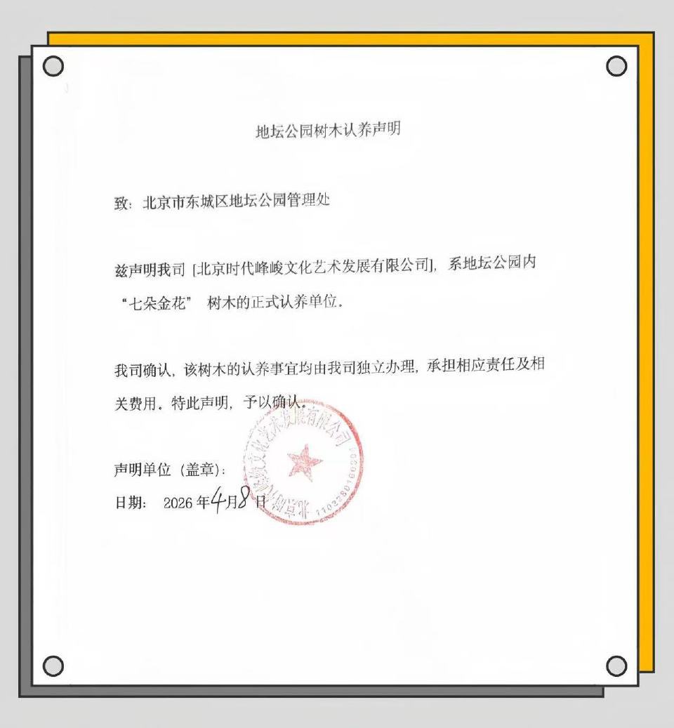 🍂🌧️MORNING STAR 鑫鑫的星星🌟🍿 tweet media