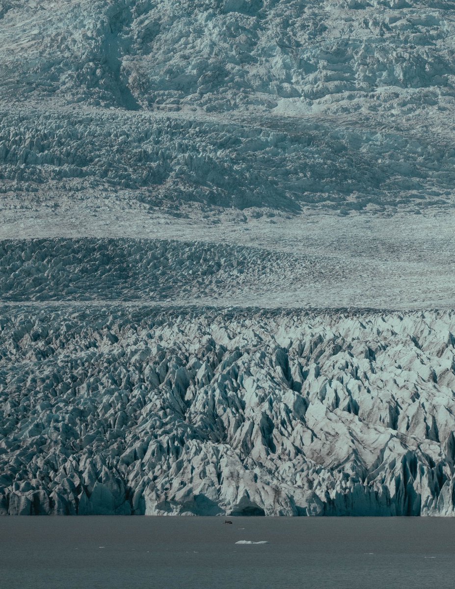 Riki Shinagawa tweet media