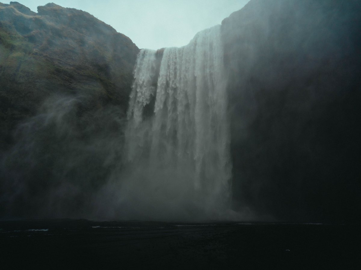 Riki Shinagawa tweet media