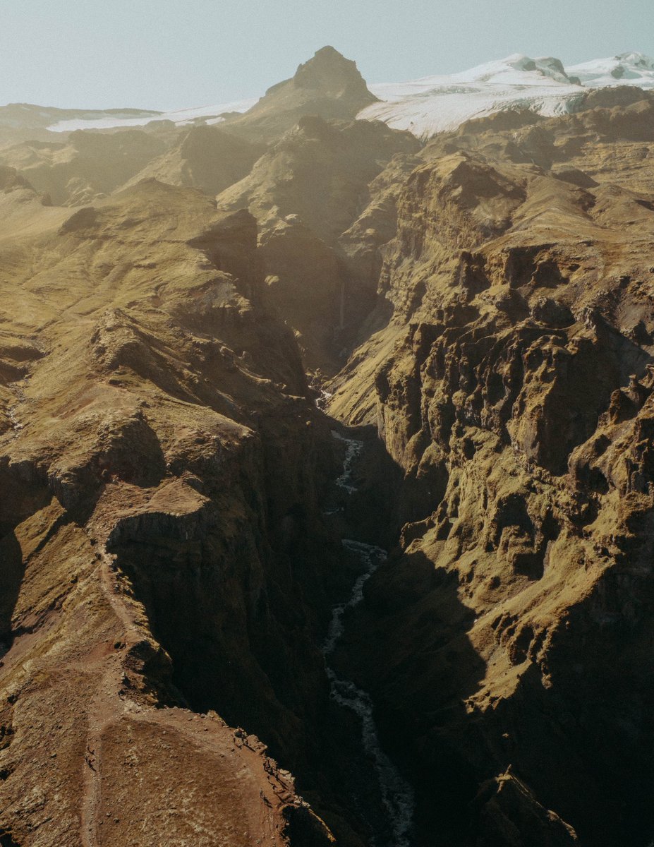 Riki Shinagawa tweet media