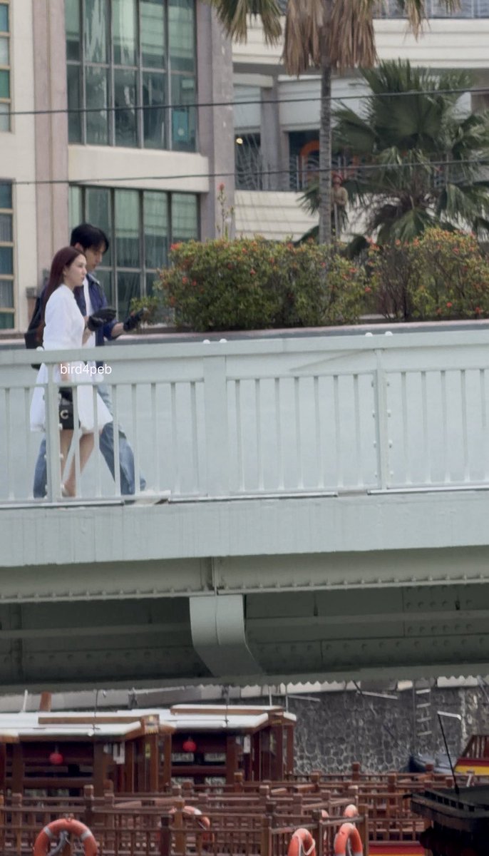 elizabeth 🐥🤙🏻 tweet media