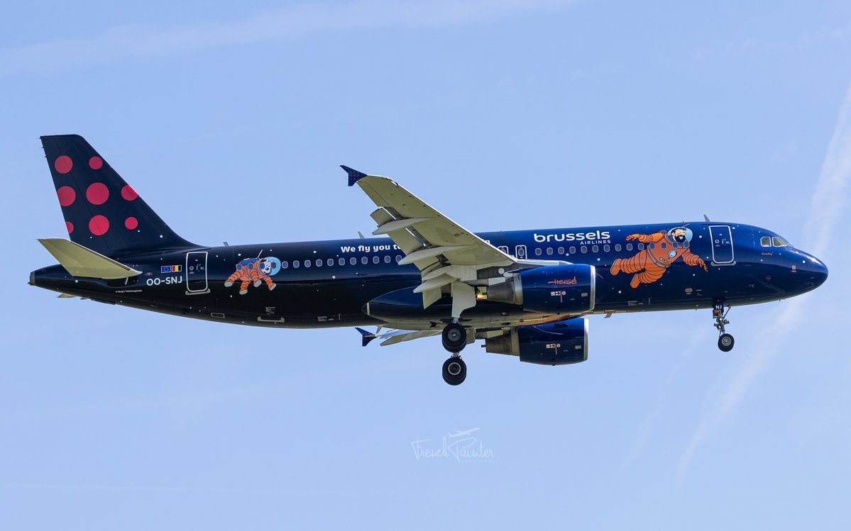 Frenchpainter's tweet image. I finally managed to capture this beautiful bird : #Airbus #A320 Brussels Airlines OO-SNJ with special Tintin livery. 🇧🇪 #Belgium #AvGeek
