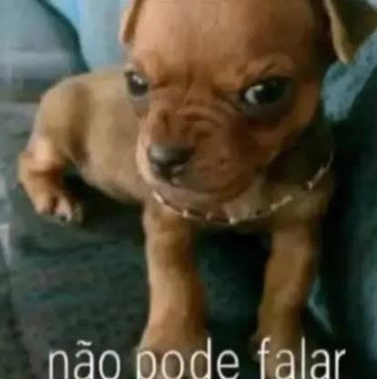 Cloreto tweet media