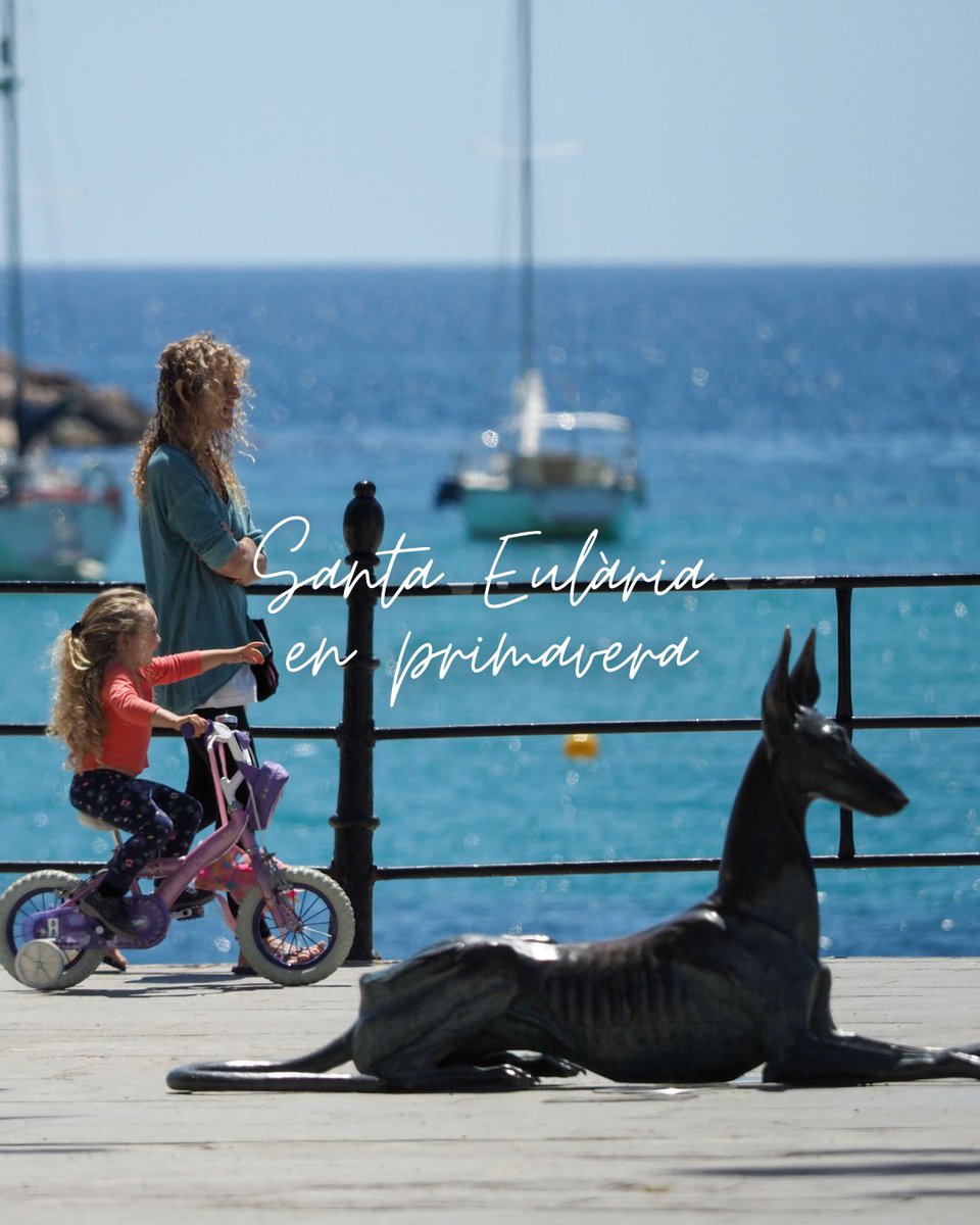 Ibiza.travel tweet media