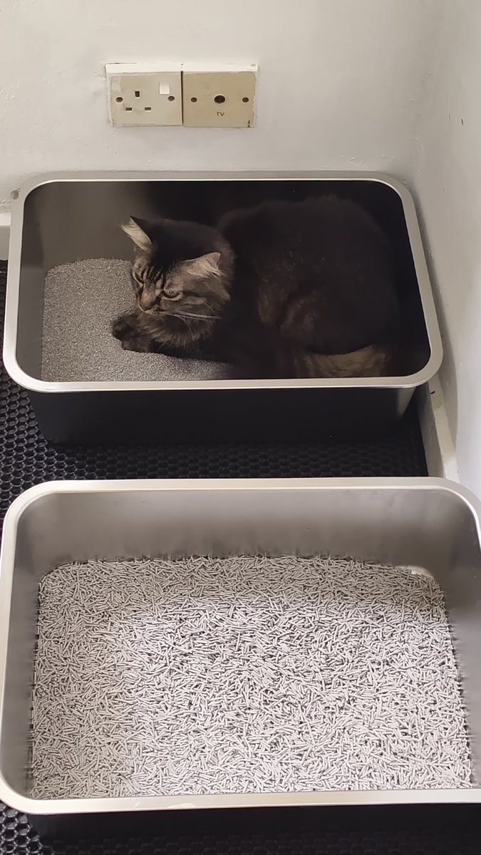 okieyyyyy tweet media