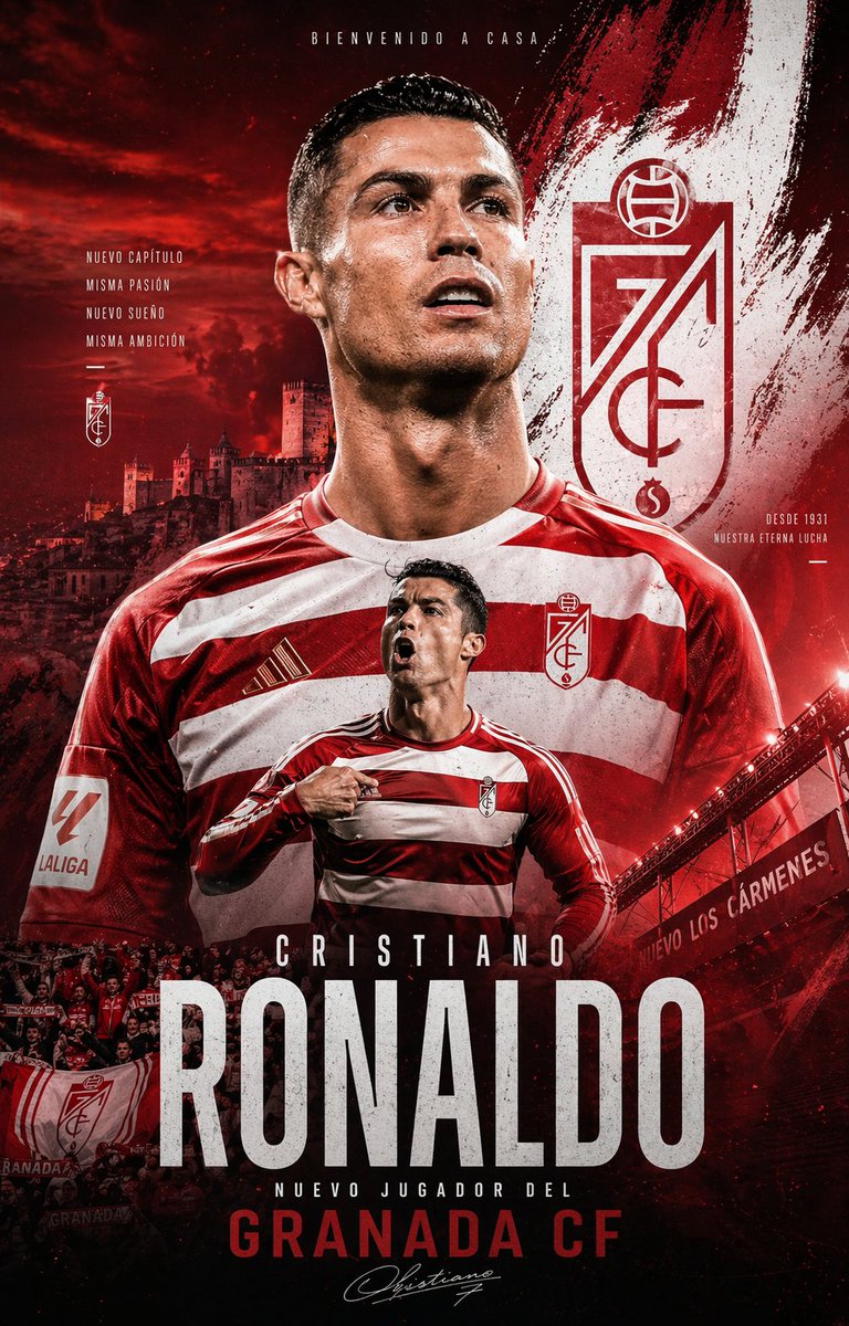 peloarbusto🦈🔴⚪ tweet media