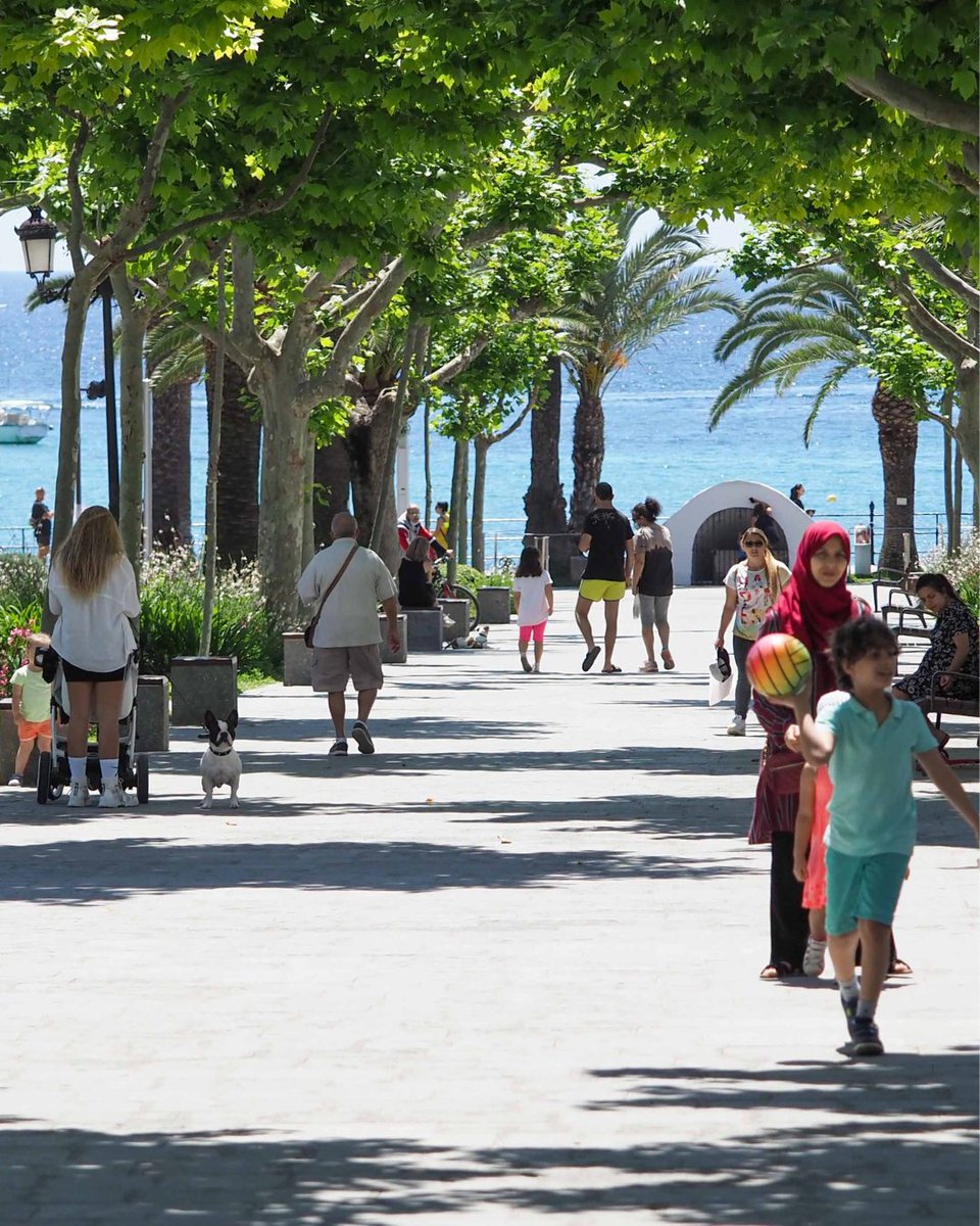 Ibiza.travel tweet media