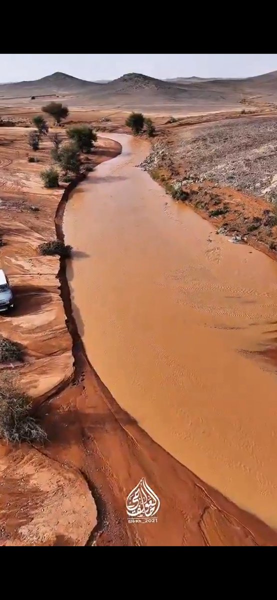 مكهرب الاسهم tweet media