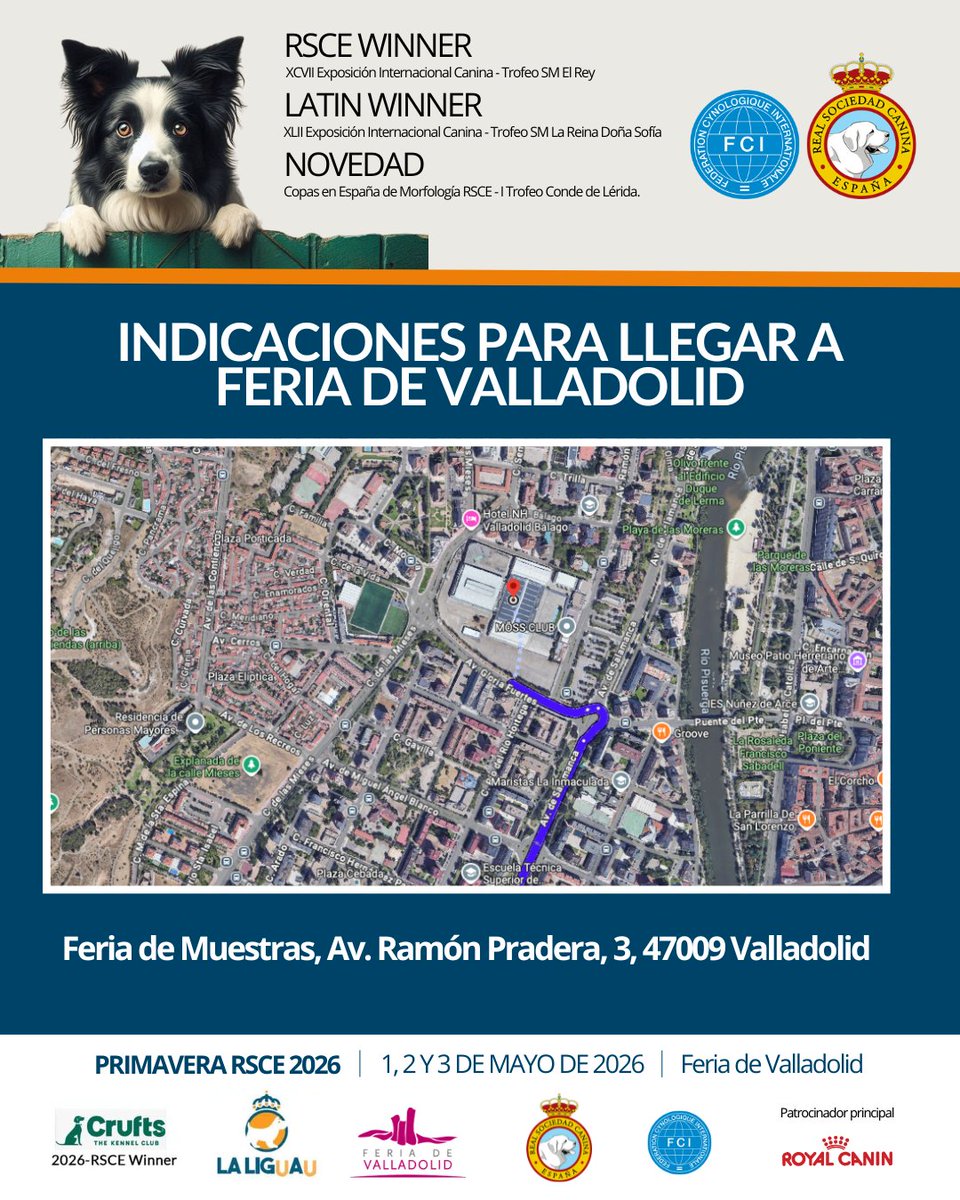 CaninaReal's tweet photo. Cómo llegar a la Feria de Valladolid

La Feria de Valladolid se encuentra en: Feria de Muestras, Av. Ramón Pradera, 3, 47009 Valladolid
📍 Puedes ver la ubicación exacta en Google Maps y planificar tu ruta aquí:
👉https://t.co/sbiBdv6nic https://t.co/viPt1cGoPI