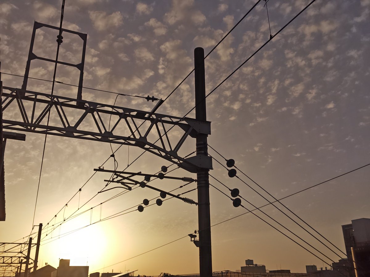 ryou1115 tweet media