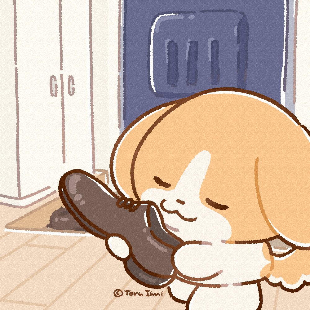 犬のきなこ🐶 (@bokukinakodayo) / Posts / X