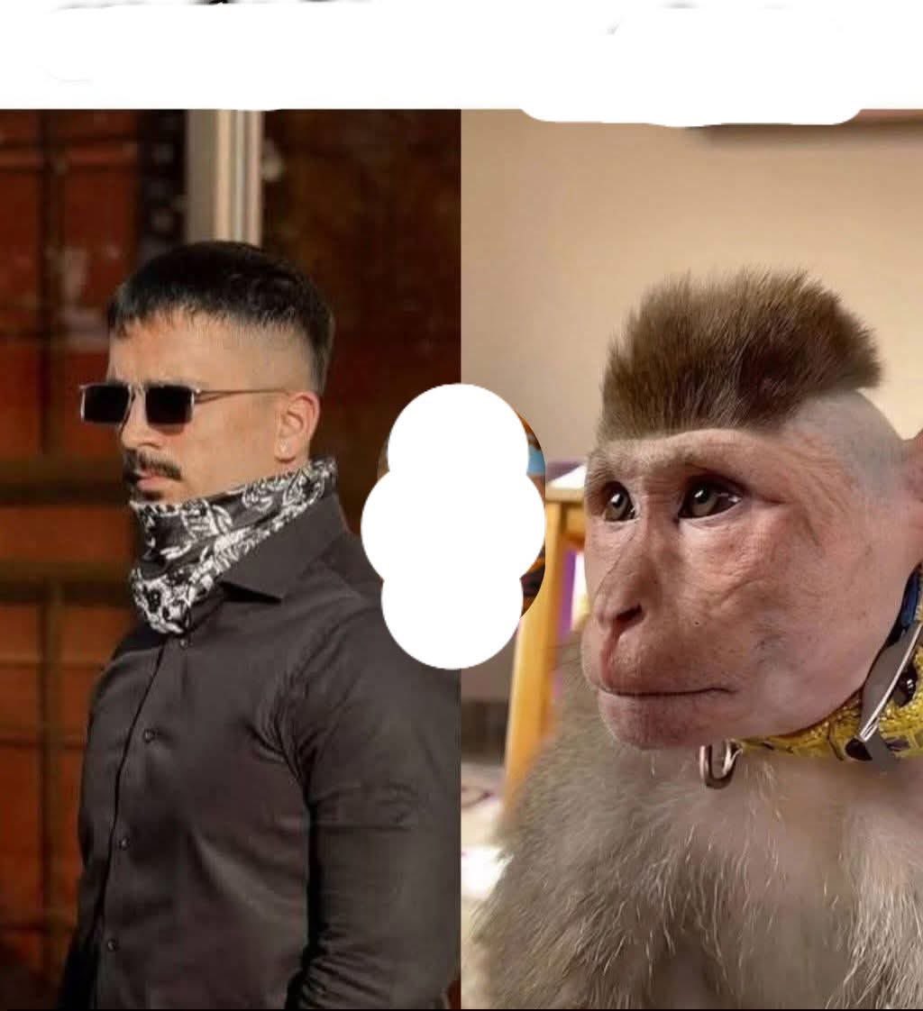 Iam_Mudasir1's tweet image. Wow Looks and Harktain(بندر)same to same😊
#Hero