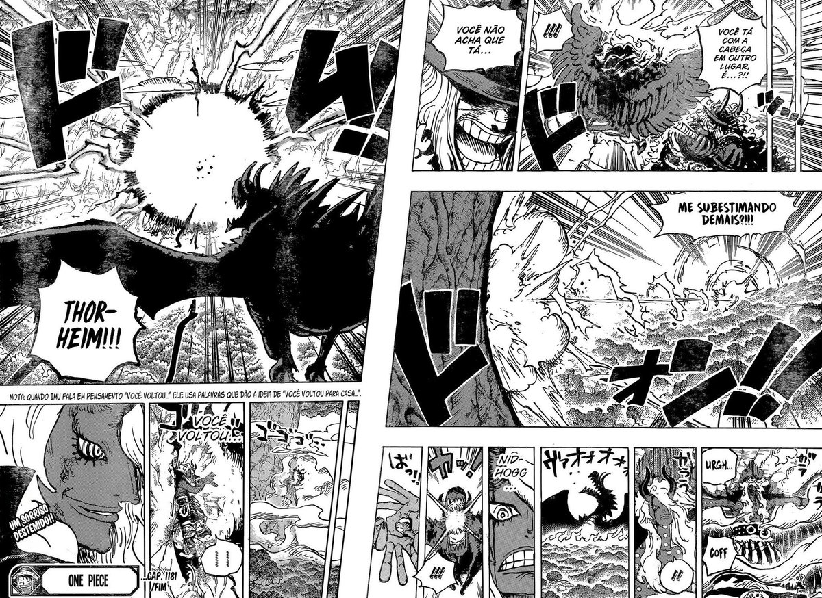 raph 🏴‍☠️ tweet media