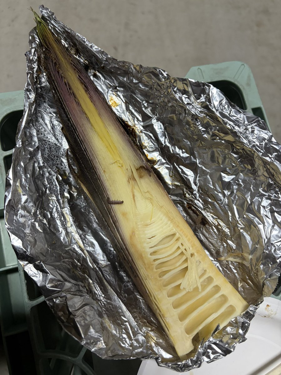 Yd9ajiHTWS80274's tweet image. 海鮮とたけのこ頂きました♪やっぱたけのこうめーな！自然の恵みに感謝です！
#BBQ
#海鮮
#たけのこ