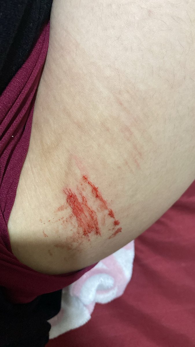 prissy puppy tweet media