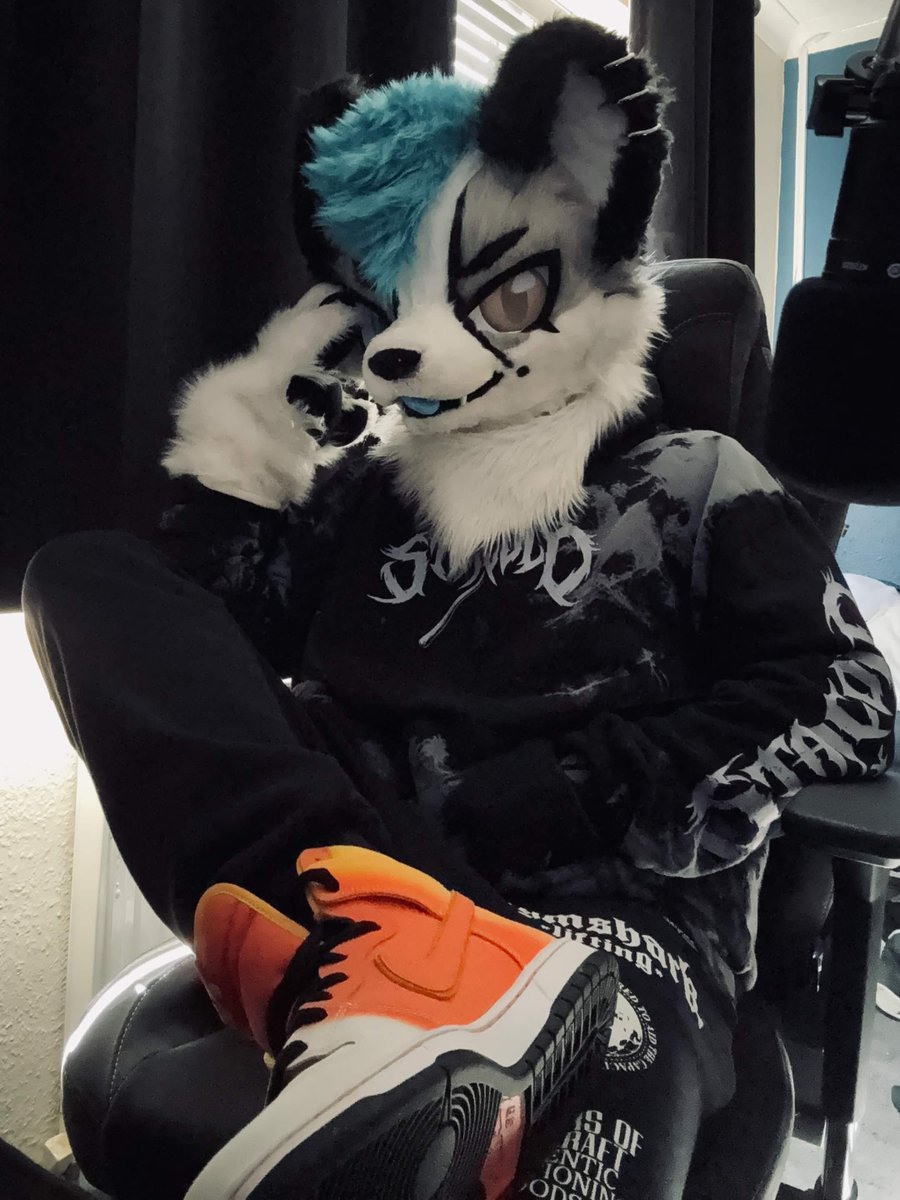 Emotional Support Fox tweet media