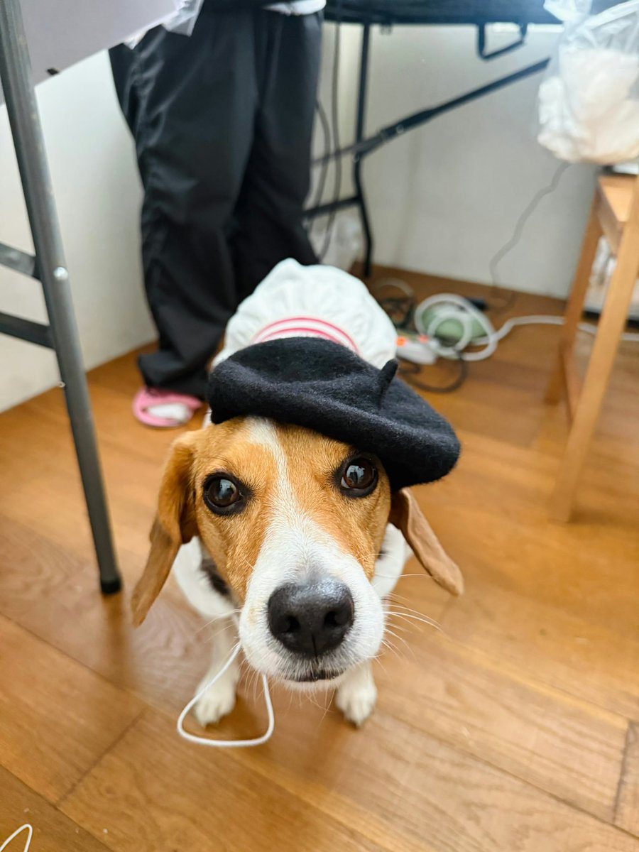 🍒 XIAOJUN WAVES tweet media